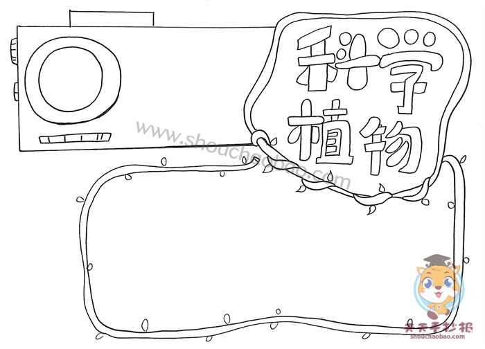 科学植物手抄报