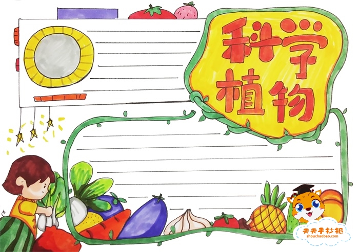 科学植物手抄报
