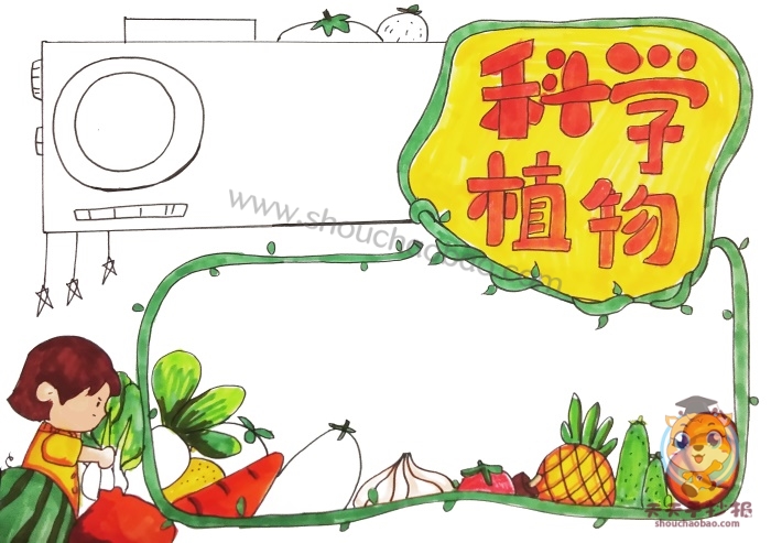 科学植物手抄报