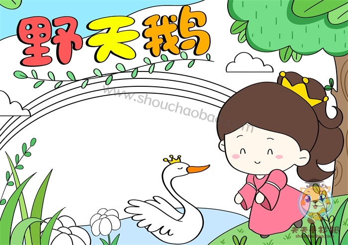 野天鹅手抄报