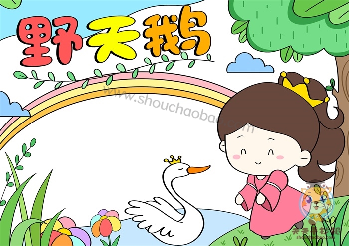 野天鹅手抄报