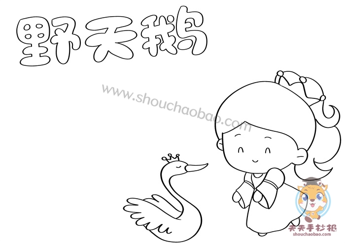 野天鹅手抄报