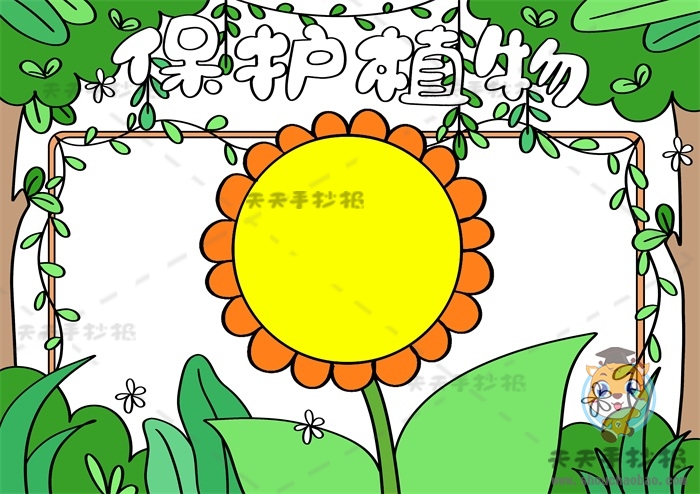 保护植物手抄报