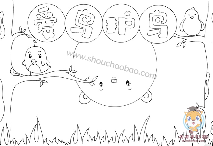爱鸟护鸟手抄报