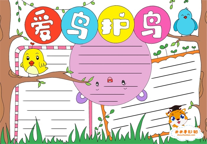 爱鸟护鸟手抄报