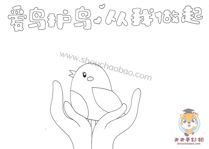 爱鸟护鸟从我做起手抄报