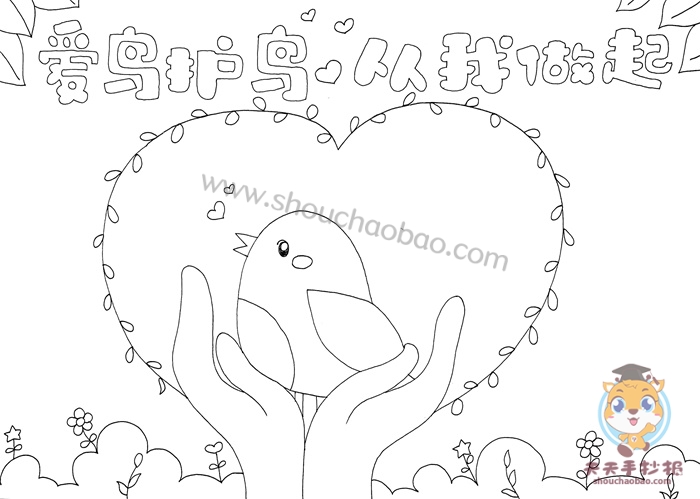 爱鸟护鸟从我做起手抄报