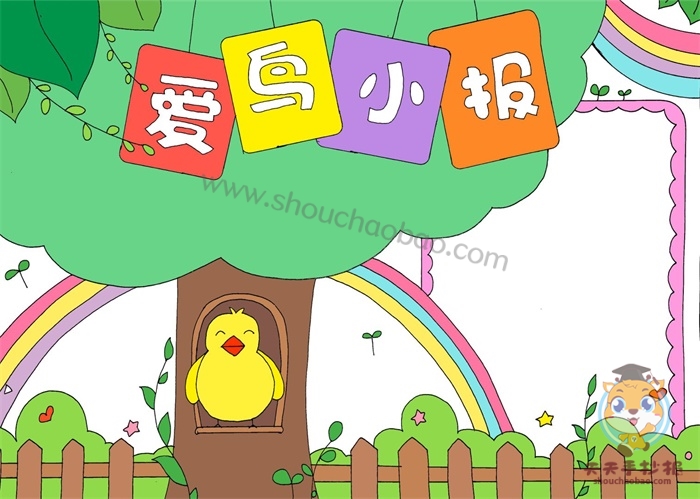 爱鸟小报手抄报