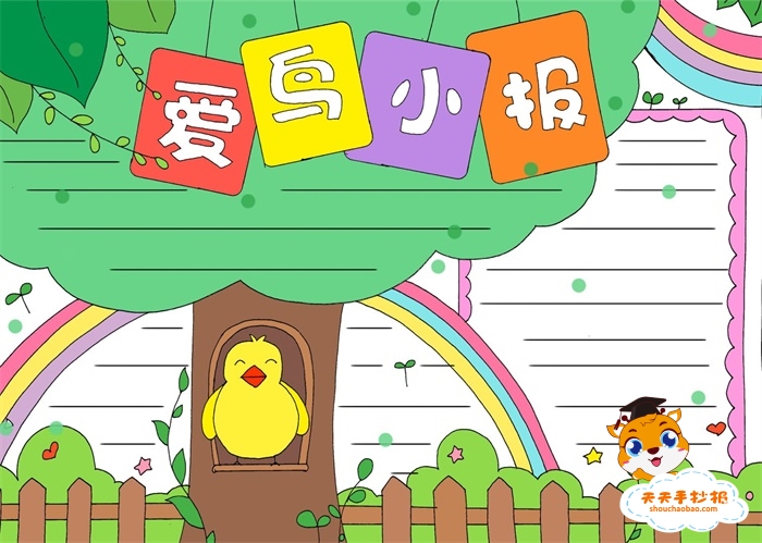 爱鸟小报手抄报