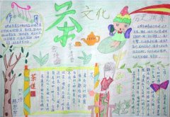 茶文化手抄报，方寸间的舍与得