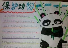 保护动物手抄报，保护动物保护我们的朋友