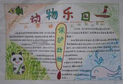 保护动物手抄报，动物乐园