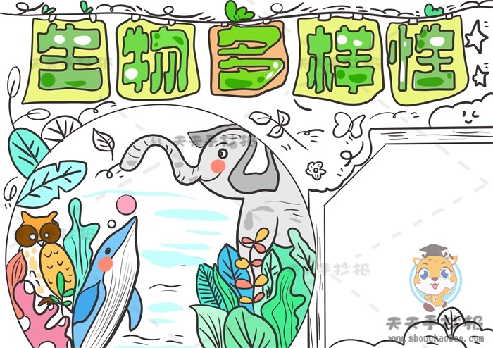 生物多样性手抄报