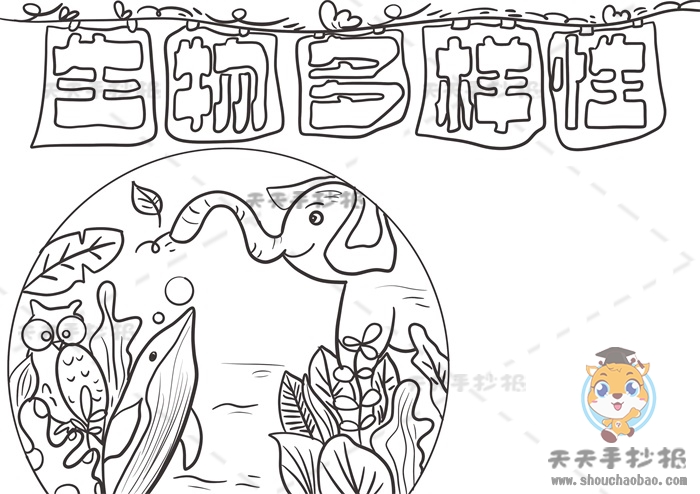 生物多样性手抄报