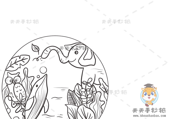 生物多样性手抄报