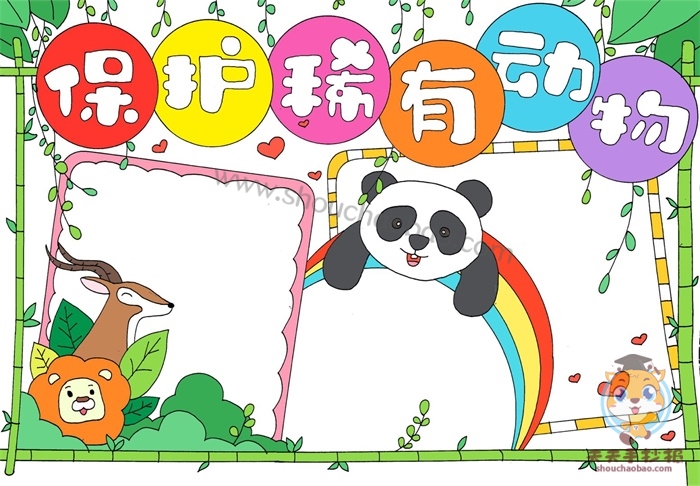 保护稀有动物手抄报