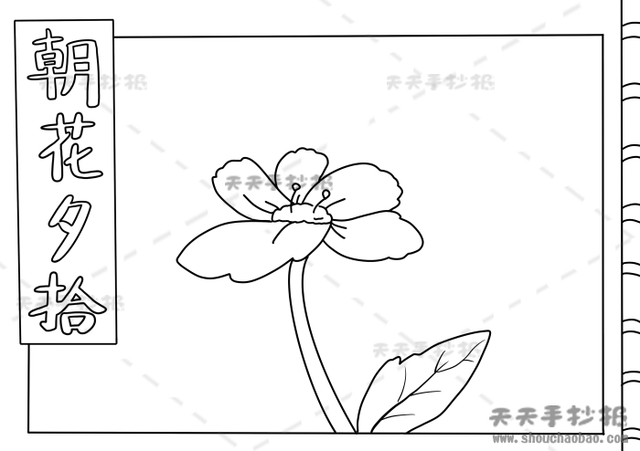 朝花夕拾手抄报