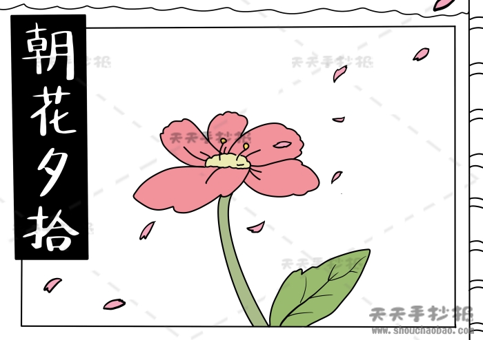 朝花夕拾手抄报