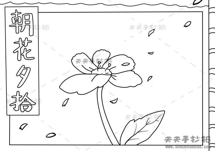 朝花夕拾手抄报