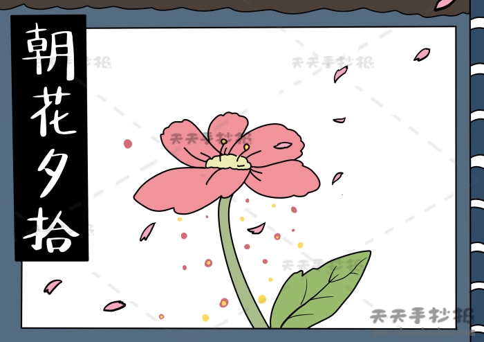 朝花夕拾手抄报