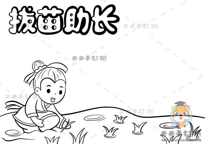 拔苗助长手抄报