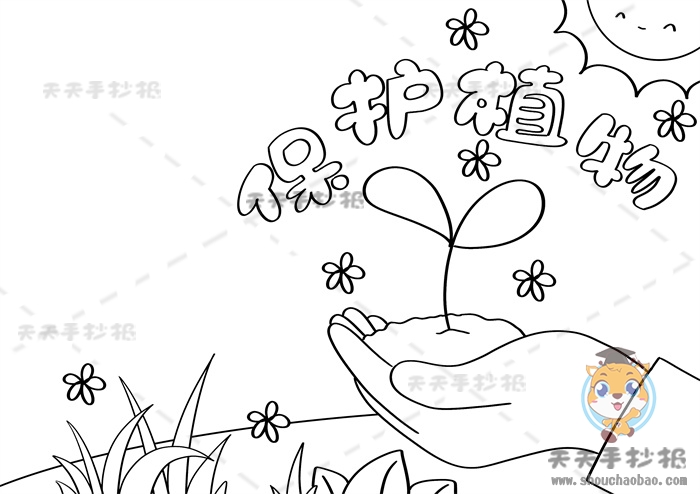 保护植物手抄报