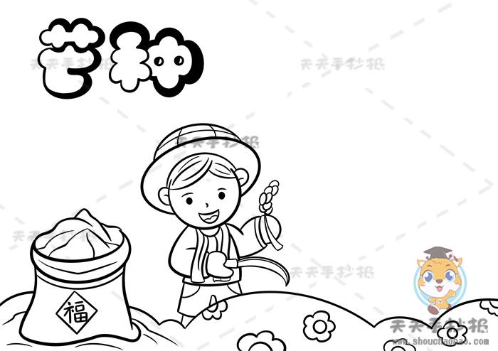 芒种手抄报
