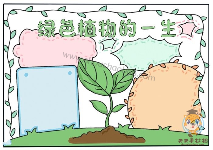 绿色植物的一生手抄报