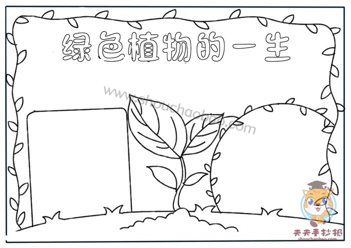 绿色植物的一生手抄报