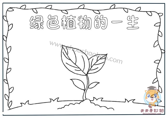 绿色植物的一生手抄报