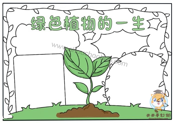 绿色植物的一生手抄报