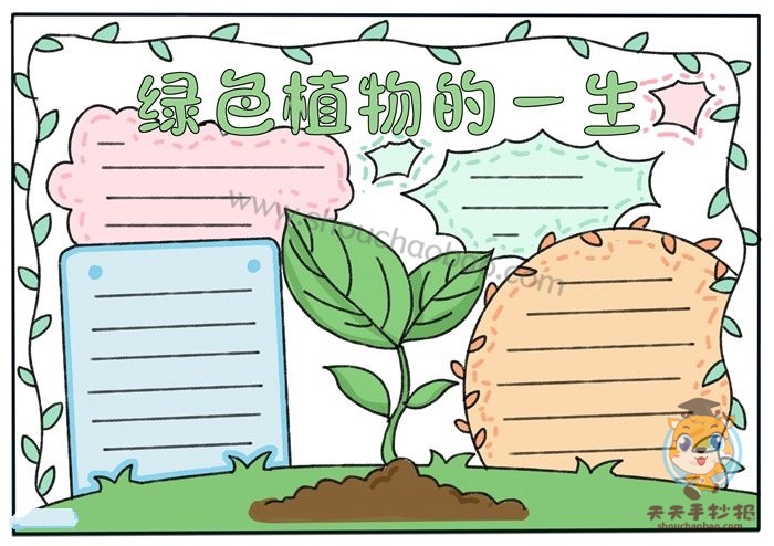 绿色植物的一生手抄报