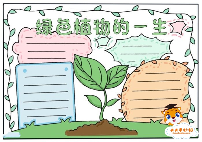 绿色植物的一生手抄报