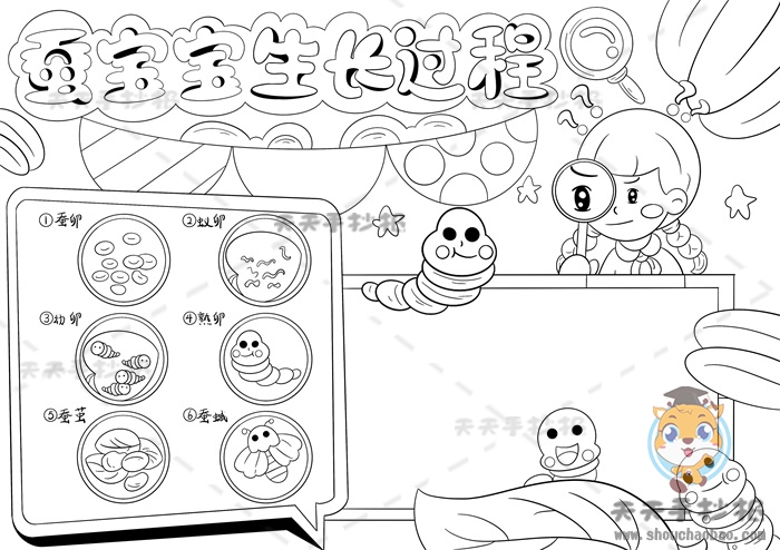 蚕宝宝生长过程手抄报