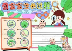 蚕宝宝生长过程手抄报创意画法，小学生如何画蚕宝宝生长过程手抄报