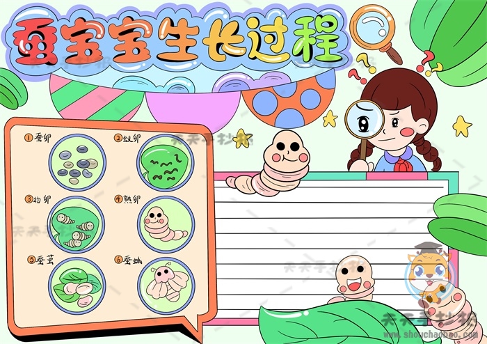 蚕宝宝生长过程手抄报