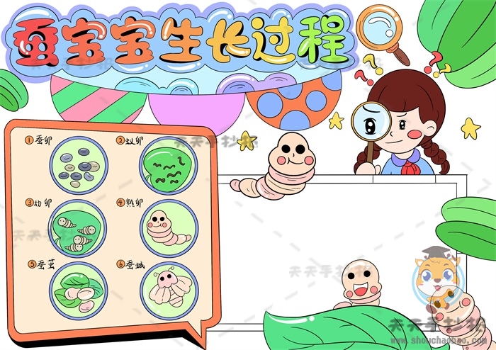蚕宝宝生长过程手抄报
