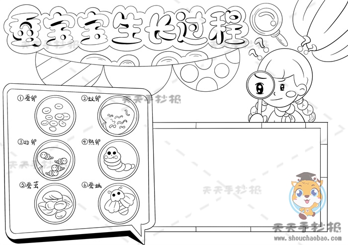 蚕宝宝生长过程手抄报