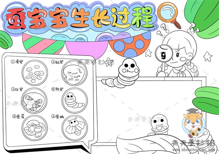 蚕宝宝生长过程手抄报