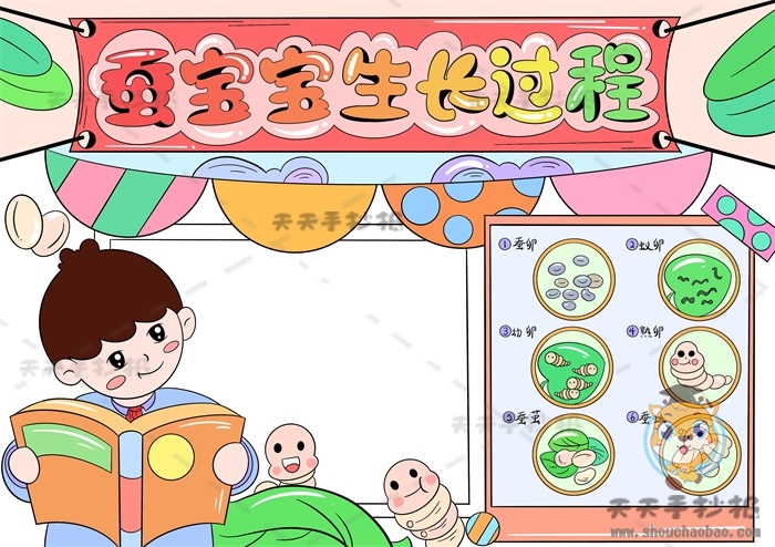 蚕宝宝生长过程手抄报
