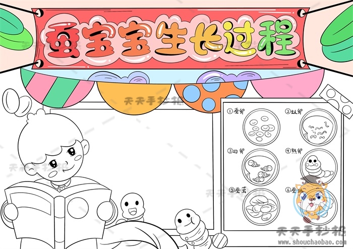 蚕宝宝生长过程手抄报