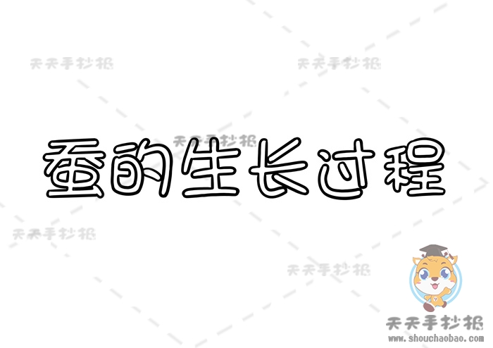 蚕的生长过程手抄报