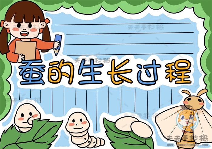 蚕的生长过程手抄报