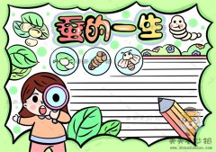 蚕的一生手抄报如何画更加有趣，关于蚕的一生手抄报的知识整理