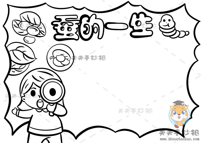蚕的一生手抄报