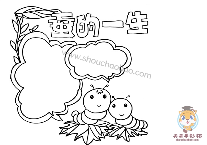 蚕的一生手抄报