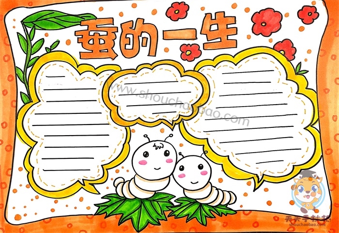 蚕的一生手抄报