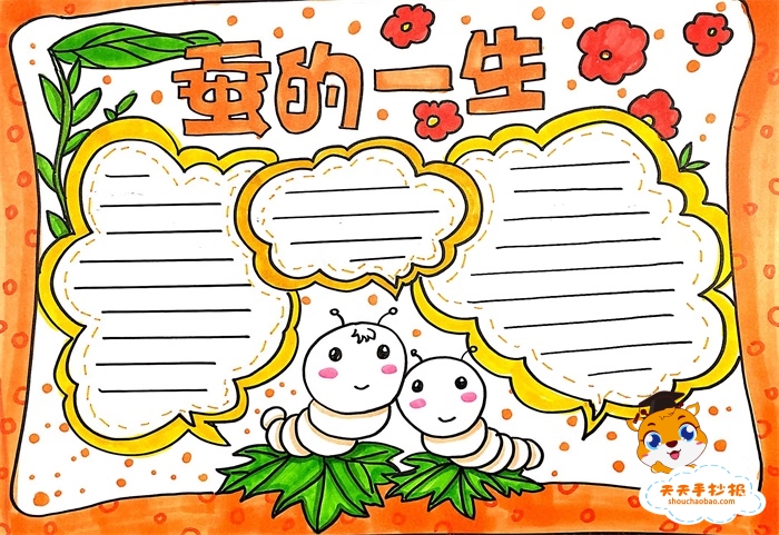 蚕的一生手抄报