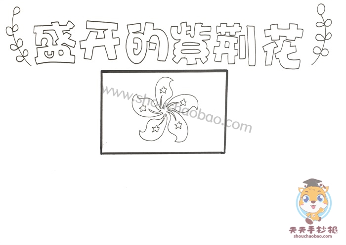 盛开的紫荆花手抄报
