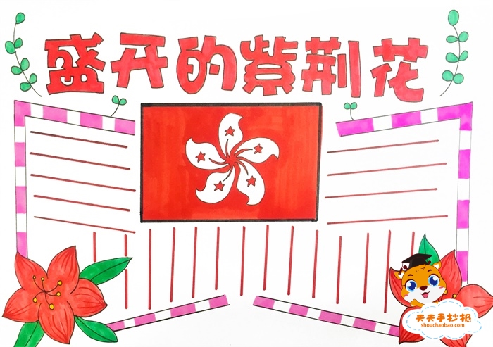 盛开的紫荆花手抄报